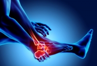Sources of Ankle Pain